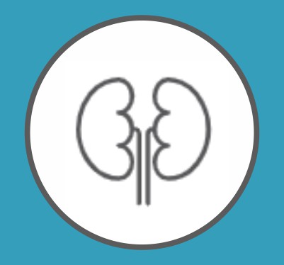 Nefrologia